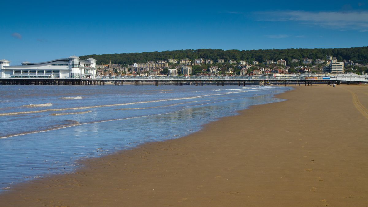 discount vouchers weston super mare seaquarium