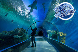 discount vouchers weston super mare seaquarium