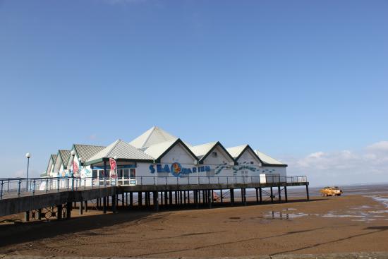discount vouchers weston super mare seaquarium