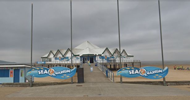 discount vouchers weston super mare seaquarium