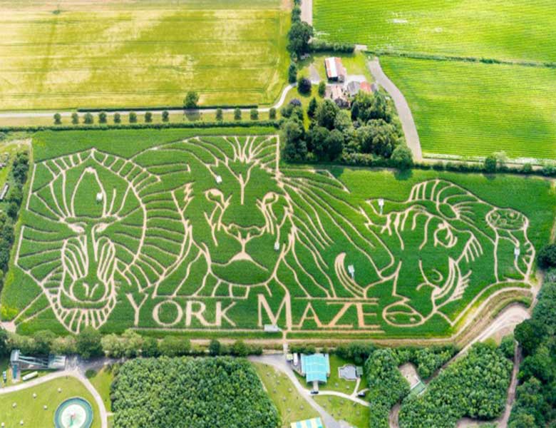 discount vouchers york maze