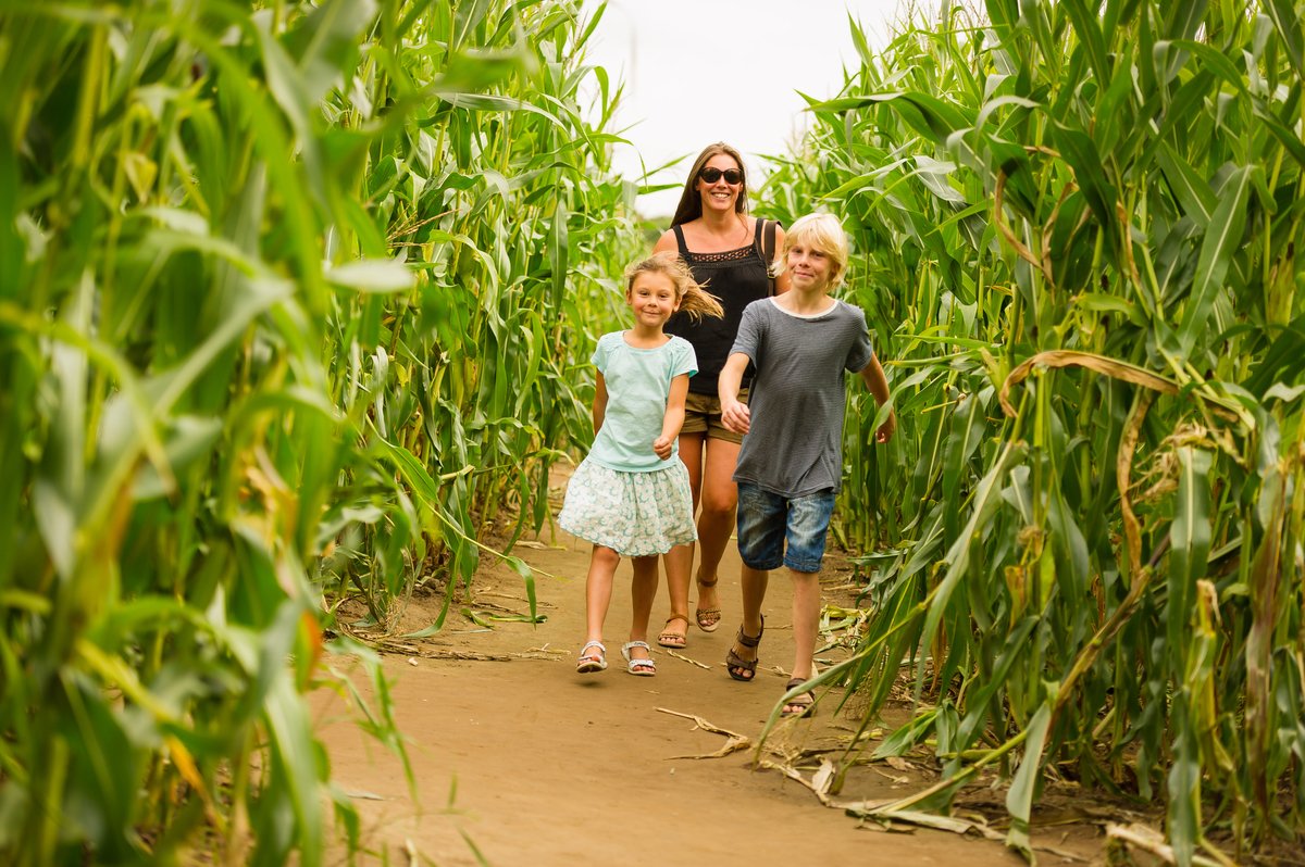 York Maze | Day Out With The Kids