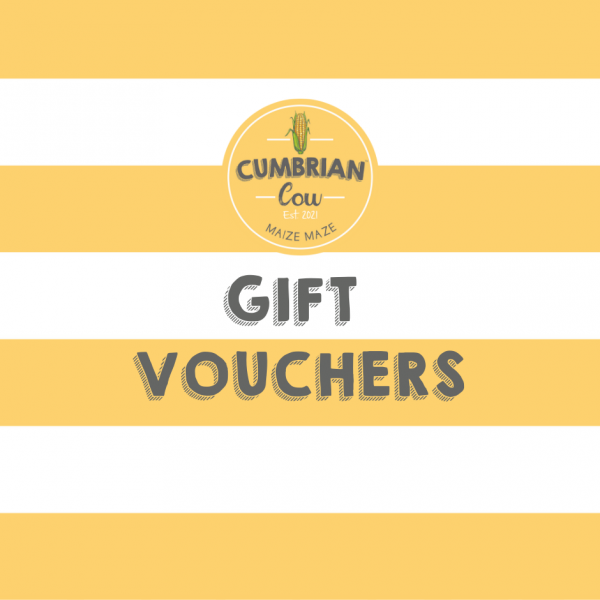 discount vouchers york maze
