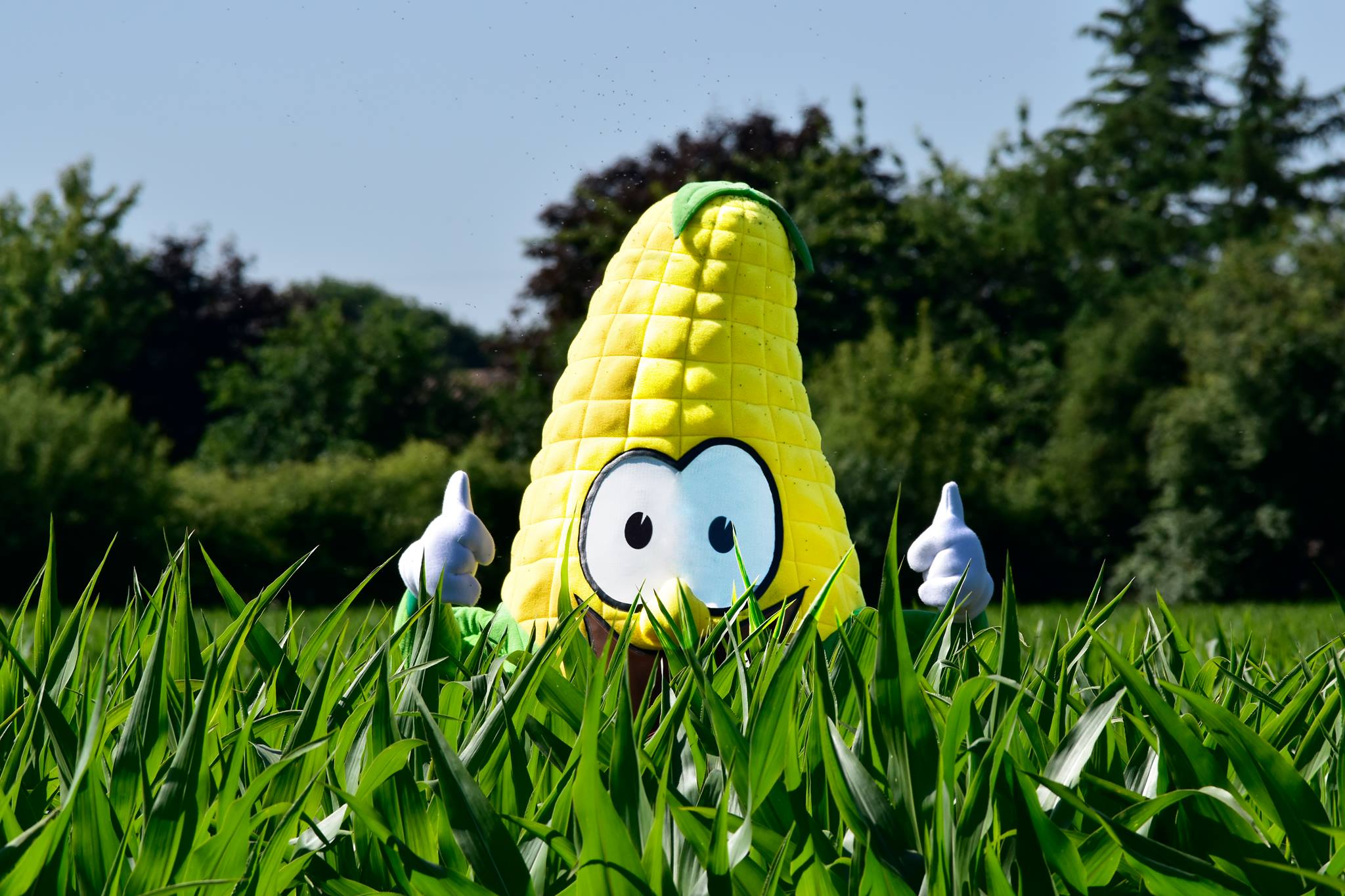 discount vouchers york maze