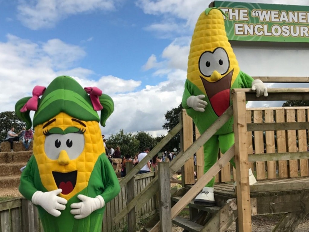 Half Price Family Ticket to York Maze | Attractions Near Me