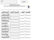 Syllable Division Activities Lesson Plans &  Worksheets