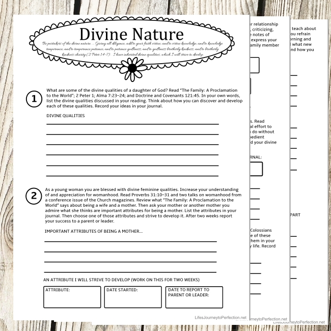 Lifes Journey To Perfection: YW Personal Progress Divine Nature ...