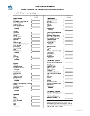 divorce financial worksheet
