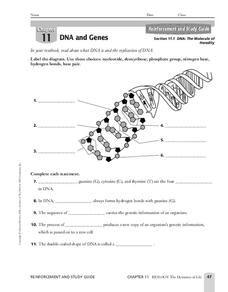 DNA and Genes Worksheet for 7th - 12th Grade | Lesson Planet
