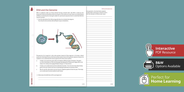 DNA and the Genome Independent Learning Worksheet | Beyond