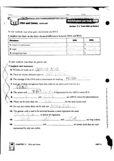 dna and genes worksheet