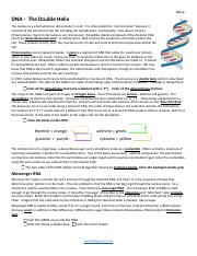 DNA - The Double Helix.pdf - Name: DNA - The Double Helix The