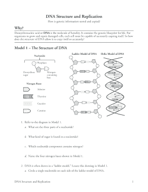 Dna Structure And Replication Worksheet - Fill and Sign Printable ...