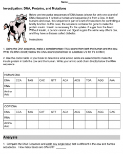 DNA, Proteins, and Mutations