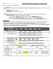Copy of Copy of DNA Mutations Practice Worksheet.doc.docx - Name ...