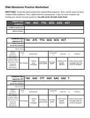 DNA Mutations Practice Worksheet-2.pdf - DNA Mutations Practice ...