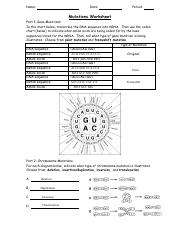mutations-worksheet.pdf - Nhu Nguyen Name: Date: 4/2/2019 Period ...