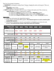 DNA Mutations Practice Worksheet 2021.pdf - There are several ...