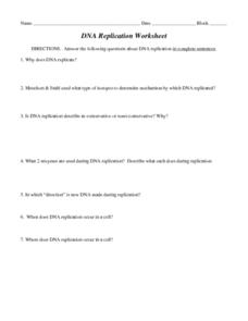dna rna and replication worksheet