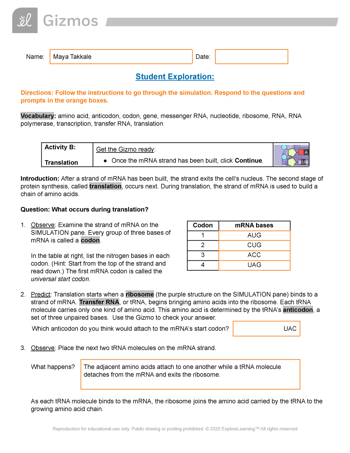 dna rna proteins starts with worksheet answers