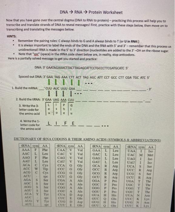 dna rna proteins starts with worksheet answers