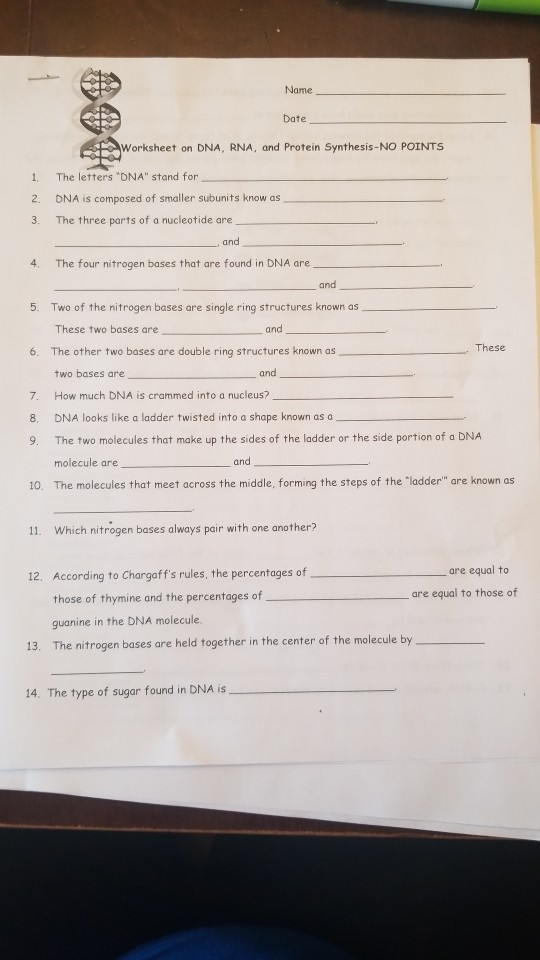 dna rna proteins starts with worksheet answers