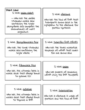 dna rna proteins starts with worksheet answers