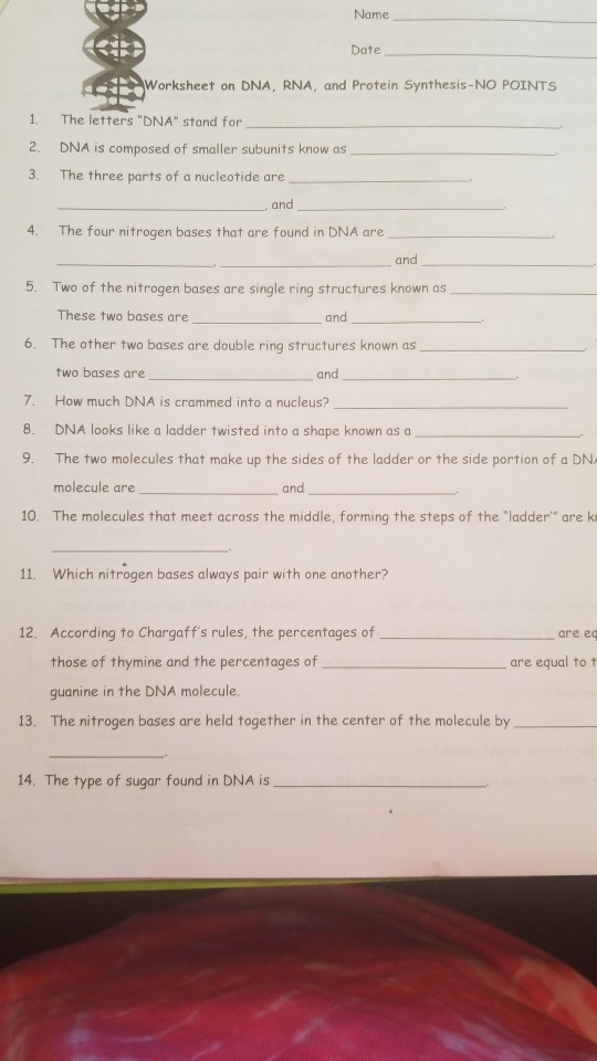 dna rna proteins starts with worksheet answers