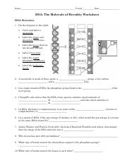 dna the molecule of heredity worksheet answers