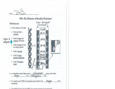 Parts of a Microscope SmartSchool Systems Worksheets Library Parts of a Microscope SmartSchool Systems Worksheets Library