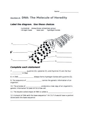 dna the molecule of heredity worksheet answers