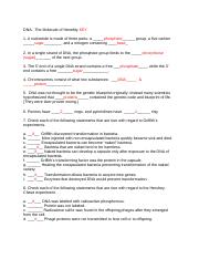 BSC 2010C Module 11 Worksheet DNA KEY DNA: The Molecule of BSC 2010C Module 11 Worksheet DNA KEY DNA: The Molecule of