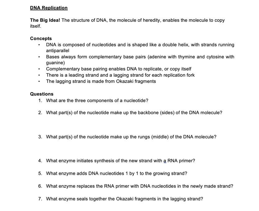 Solved DNA Replication The Big Idea The structure of DNA Chegg com Solved DNA Replication The Big Idea The structure of DNA Chegg com