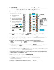 dna structure and replication copy pdf Luis Sanchez 4 Name dna structure and replication copy pdf Luis Sanchez 4 Name