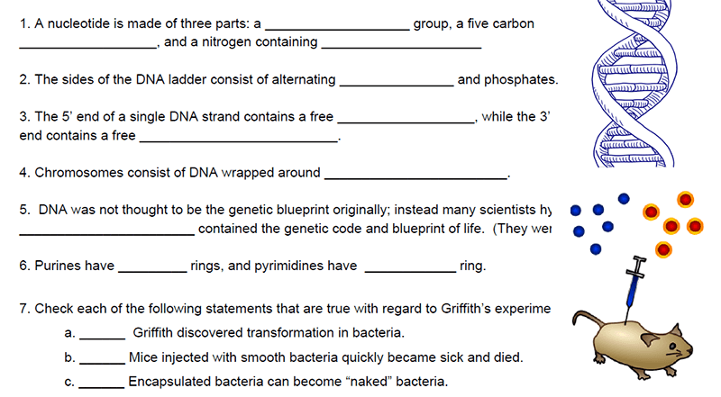 dna the molecule of heredity worksheet