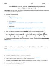 worksheet DNA RNA Protein Syn.pdf - Name Date Period Worksheet ...