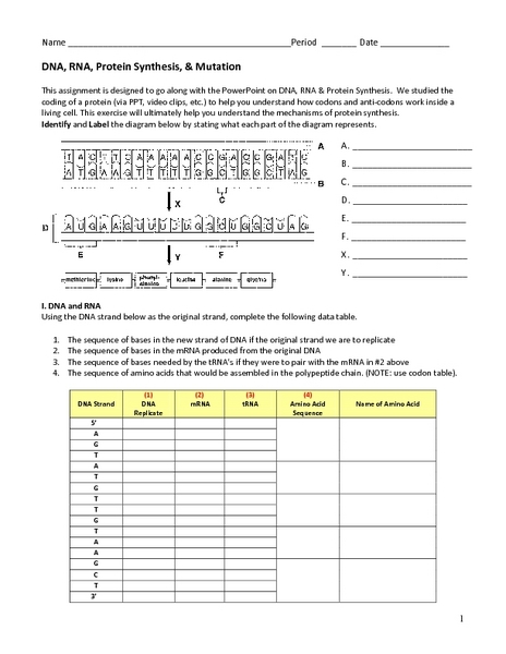 Dna Rna Protein Synthesis Lesson Plans &  Worksheets