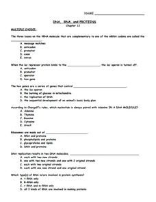DNA. RNA, and Proteins Worksheet for 9th - 12th Grade | Lesson Planet