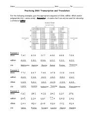10th 3--transctranslpractice 1 .pdf - Name Date Per Practicing DNA ...