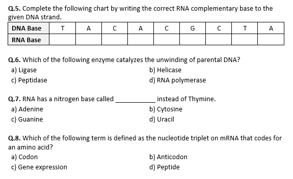 dna transcription worksheet