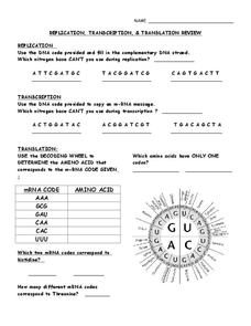 dna transcription worksheet