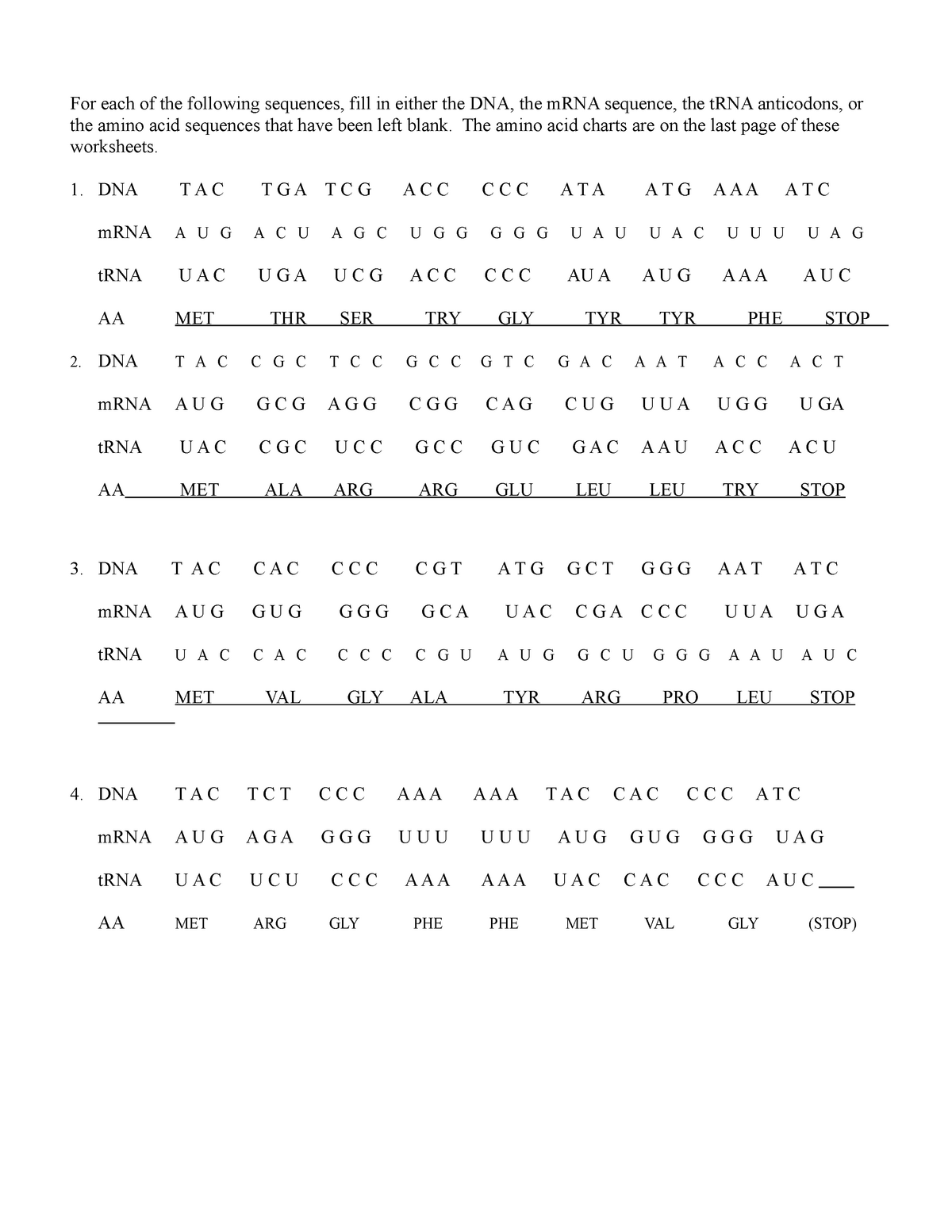dna transcription worksheet