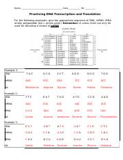 11-17-20 Transcription &  Translation Practice.docx - Name Date Per ...