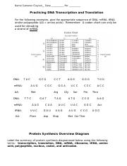 dna translation worksheet