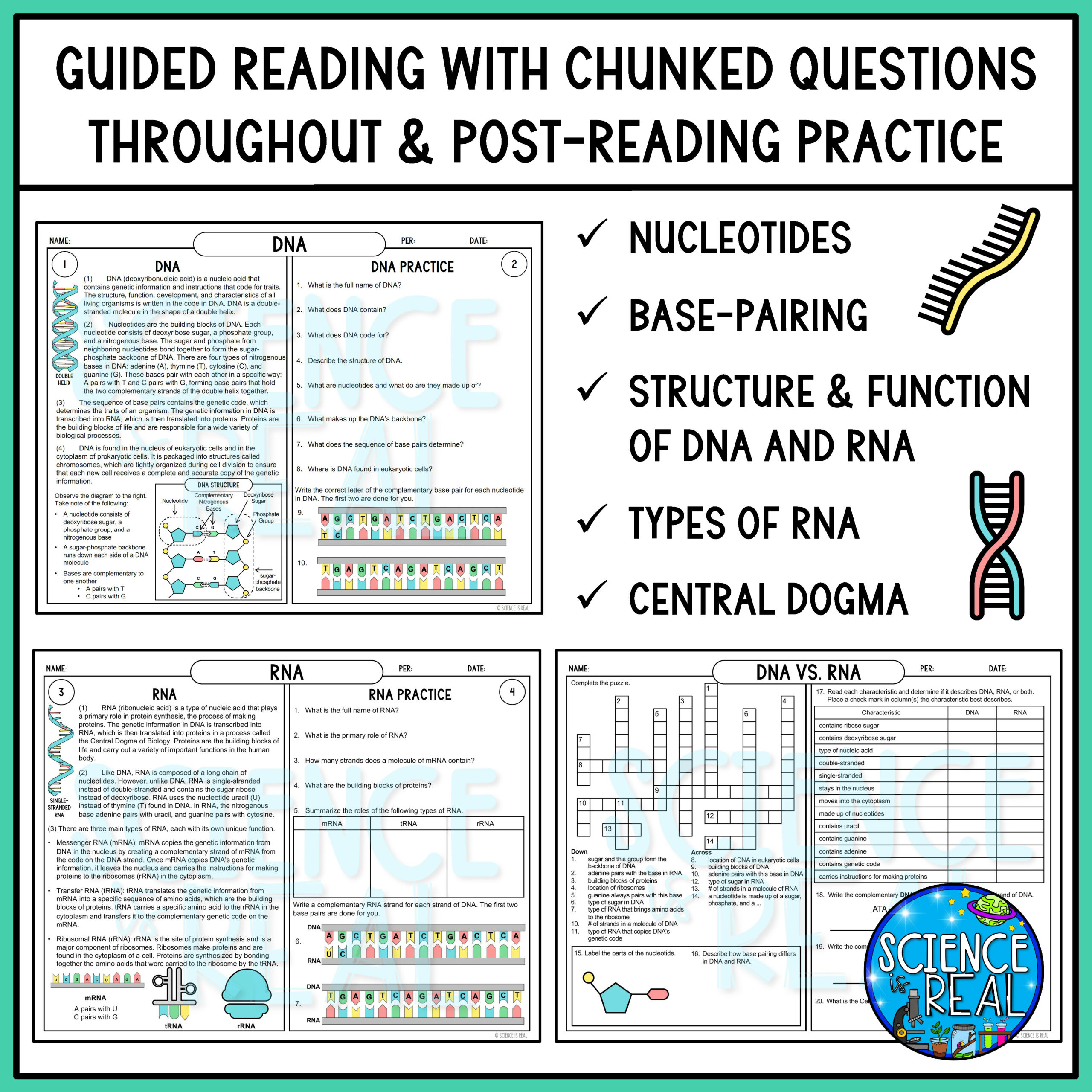 Comparing Dna And Rna Worksheet At Lise Parker Blog Comparing Dna And Rna Worksheet At Lise Parker Blog