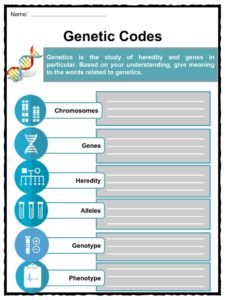 DNA and Inheritance Worksheets &  Facts for Kids | How it works