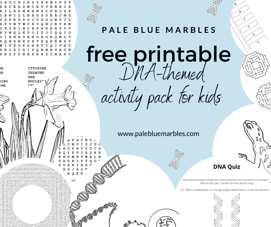 DNA for kids: an adventure into the molecular world of life - Pale ...