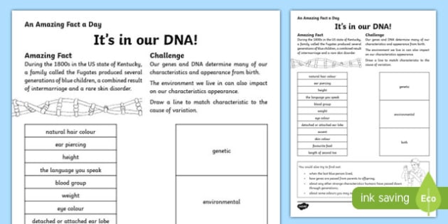 dna worksheet high school
