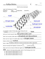 dna structure ws.pdf - 11/16/20 KaMya Dinkins Name: 2 Date: DNA ...