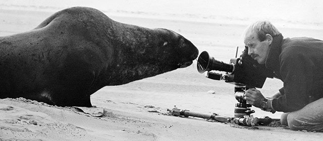 Documentary film - Te Ara Encyclopedia of New Zealand